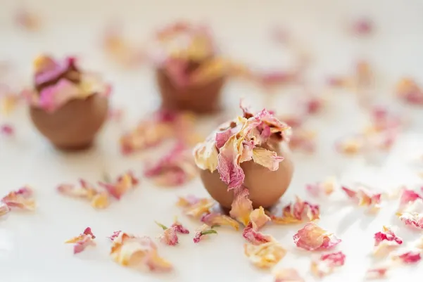 Casino Haiti Win Android/iOS Forrit